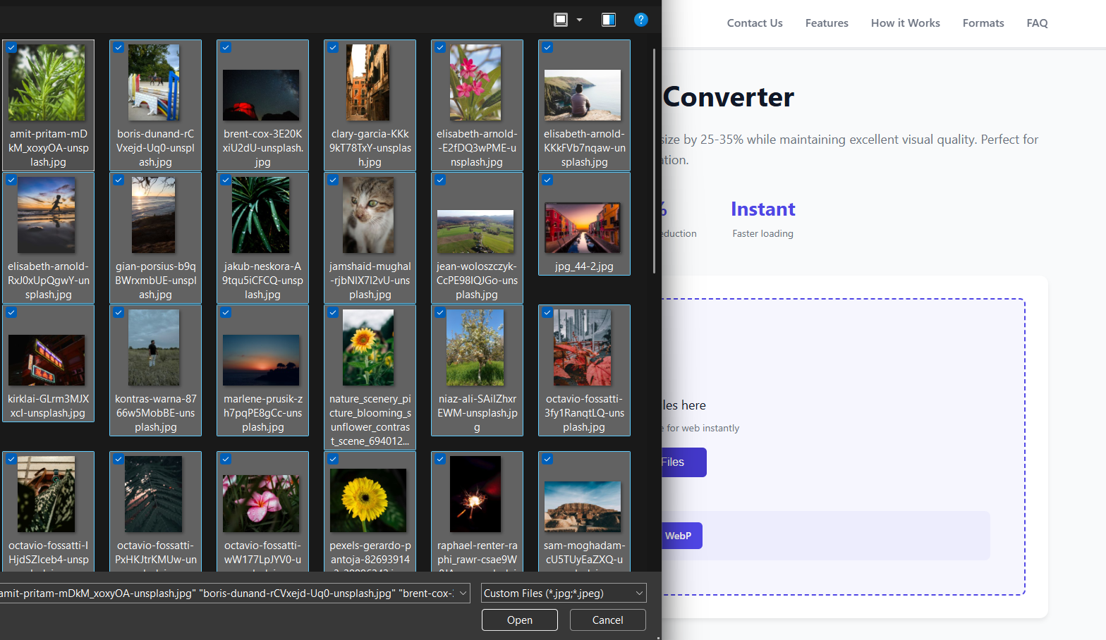File selection dialog with 50 images selected
